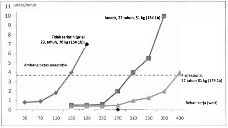 Gambar 1. Perbedaan Kinerja, dihitung menurut tinggi ambang batas anaerobik dengan beban kerja yang bertambah (Janssen dalarn Bafirrnan, 2006:37) 