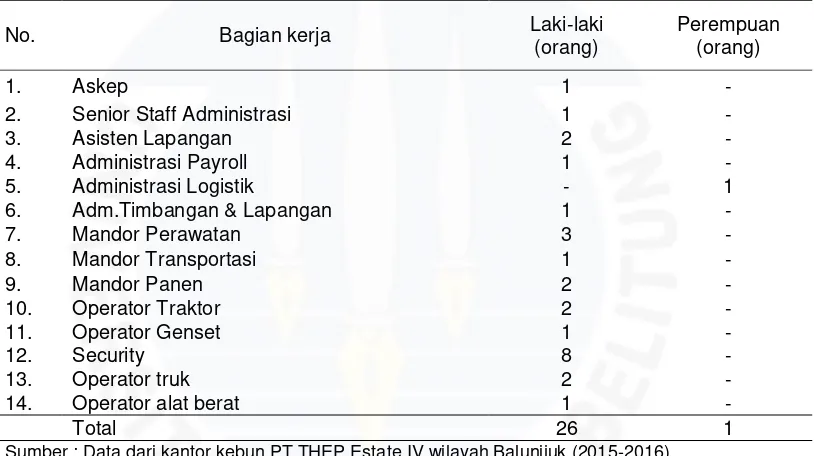 Tabel. I.2 Data Tenaga lapangan PT. Tata Hamparan Eka Persada (THEP) Estate IV 