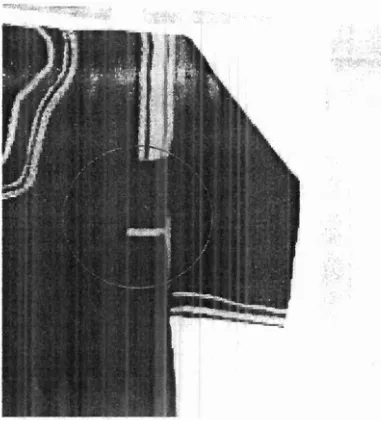 Gambar : 10. Lengan lebar pada baju seorang penghulu (Repro: Budiwirman, 2012) 