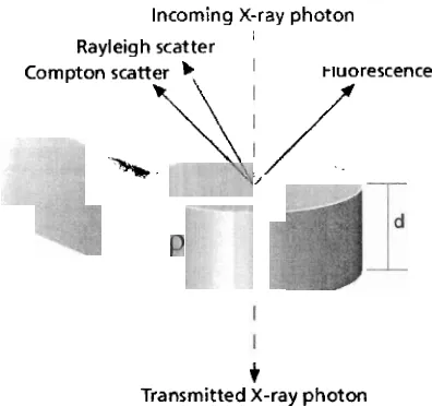 Gambar 3. Tipikal peristiwa yang mungkin terjadi hasil interaksi foton dengan materi 