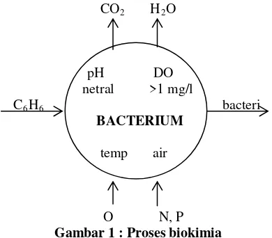Gambar 1 : Proses biokimia 