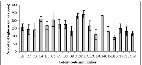 Figure 1. The screening based on chitinolytic activity of 19 isolates obtained from Cangar Hot Spring