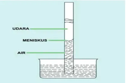 Gambar 12. Peristiwa kapilaritas 