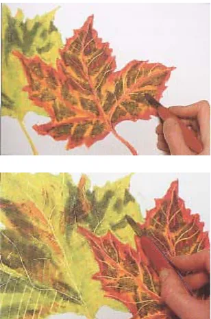 Gambar 241     . Menggambar daun dengan bahan pastel minyak (sumber: Hasel 