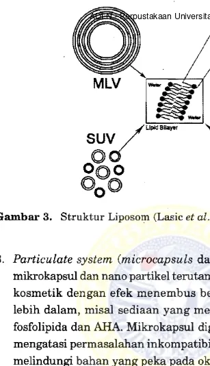 Gambar 3. Struktur Liposom (Lasic et at., 1998)  