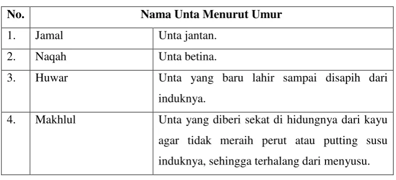 Tabel 2.1 Nama Unta Menurut Umur47