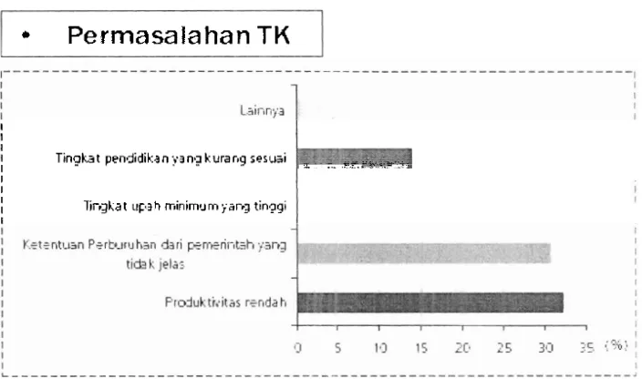 Grafik 4.3. Permasalahan Tenaga Kerja di Indonesia 