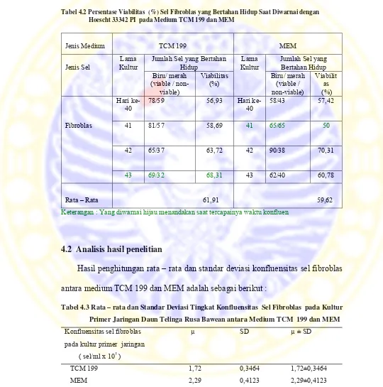 Tabel 4.2 Persentase Viabilitas  (%) Sel Fibroblas yang Bertahan Hidup Saat Diwarnai dengan  