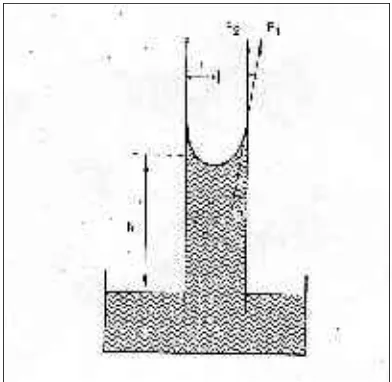 Gambar 3. Kenaikan kapiler hubungannya dengan diameter tabung kapiler