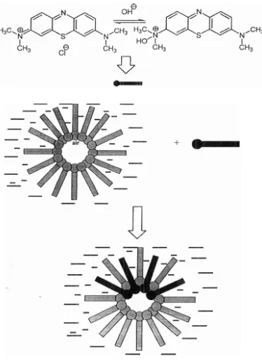 Gambar 23. Mekanisme solubilitas metil biru dalam fasa LI 