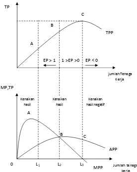 Gambar 1: Kurva Produksi Total (Q), Produksi Rata-Rata (AP), dan Produksi Marginal (MP)
