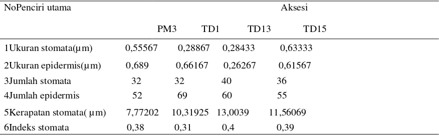 Tabel 2. Ciri utama yang membedakan karakteristik anatomi manggis aksesi PM3, TD1, TD13 dan TD15 di  Kecamatan Pamona Utara