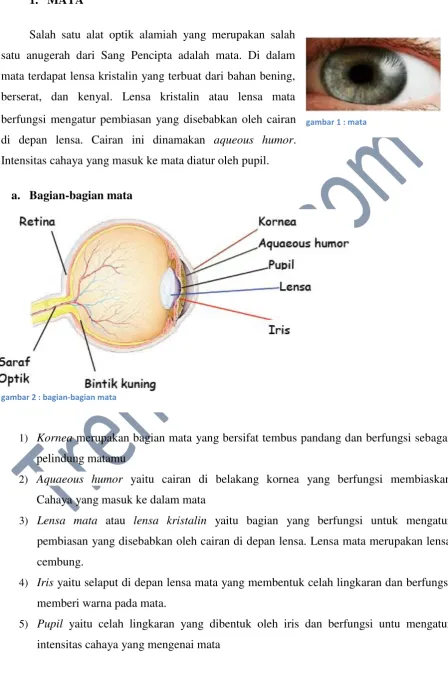 gambar 1 : mata 