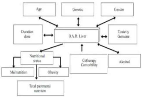 Table 3. Data on risk factors for dili causes of overall sample research 