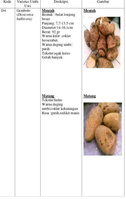Tabel 4. Lanjutan Karakteristik Beberapa Umbi uwi (Dioscorea spp.)