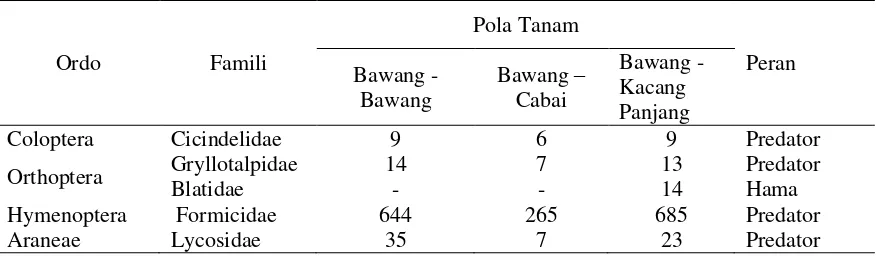 Tabel 1. Jumlah Ordo, Famili  Arthropoda Pada Tajuk  Pola tanam Bawang Merah - Bawang   Merah, Bawang Merah - Cabai dan Bawang Merah -Kacang Panjang