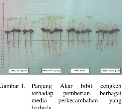 Gambar 1. Panjang 