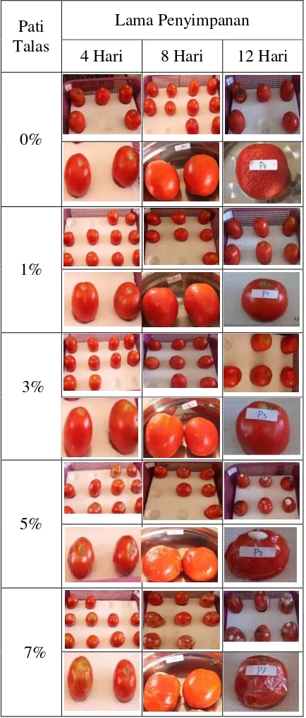 Gambar 1. Pengaruh Konsentrasi Pati Talas Terhadap warna Buah Tomat yang Dicoating.   