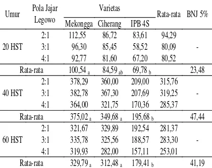 Tabel 2.   Rata-rata  Jumlah Anakan per m2 (batang) Umur 20 HST, 40 HST, dan 60 HST Beberapa Varietas Padi Sawah Budidaya SRI pada Berbagai      Pola Jajar Legowo