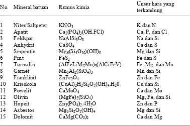 Tabel 1. Beberapa contoh mineral penyusun batuan yang mengandung unsur hara