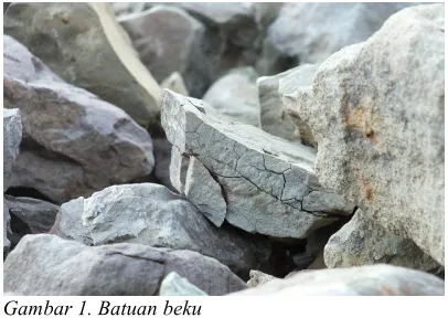 Gambar 1. Batuan beku