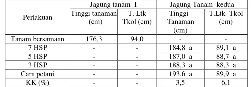 Tabel 2. Pengaruh Tanam Bersamaanl dan Tanam Relay Planting Terhadap Tinggi Tanaman dan Tinggi Letak Tongkol Jagung pada Lahan Suboptimal di Kab