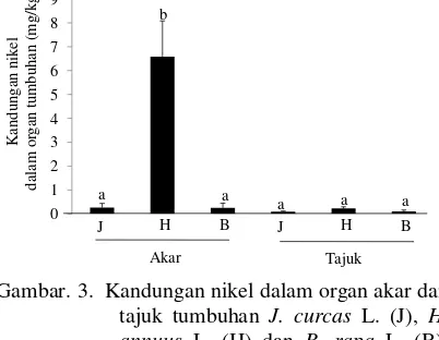 Gambar. 3.  Kandungan nikel dalam organ akar dan tajuk tumbuhan J. curcas L. (J), H. annuus L