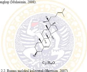 Gambar 2.2. Rumus molekul kolesterol (Harrison, 2007) 