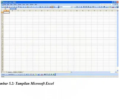 Gambar 5.2: Tampilan Microsoft Excel 