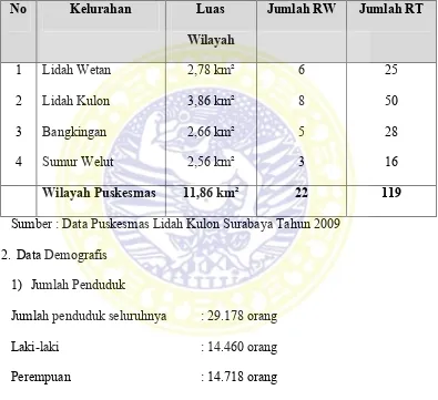 Tabel 6.1Luas Puskesmas Lidah Kulon  Surabaya Tahun 2009