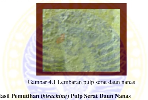 Gambar 4.1 Lembaran pulp serat daun nanas