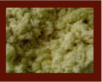 Gambar 4.2 Pulp serat daun nanas yang telah diputihkan