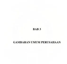 GAMBARAN UMUM PERUSAHAAN  