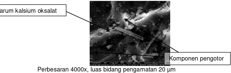 Gambar 2.. Granula Glukomanan Hasil Optimasi, Pengamatan SEM dengan Perbesaran 500 x 