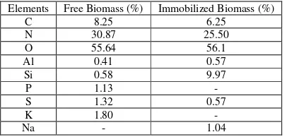 Fig 2. EDX Analysis of Free (Fresh) Algae (a) and Immobilized Algae (b) 