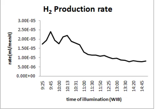 Figure 11. Scheme of H 2 gas bubbles formation on C electrode surface 