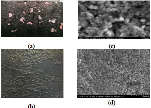 Figure 3. Photo of electrode plate (a) Copper before calcinations (b) Copper after calcination 