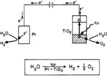 Gambar 10. Sel Fotoelektrokimia untuk Fotosplitting Air(13)