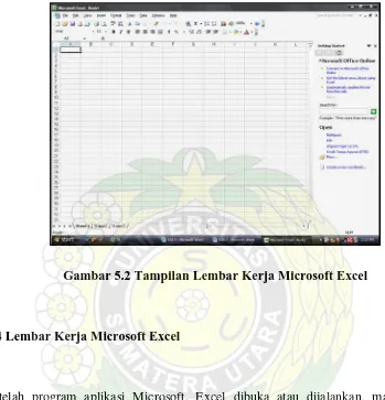 Gambar 5.2 Tampilan Lembar Kerja Microsoft Excel 