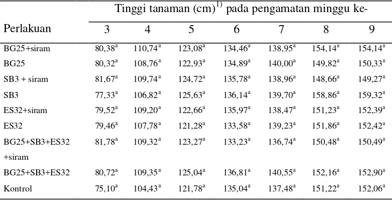 Tabel 3  Pengaruh perlakuan bakteri terhadap tinggi tanaman jagung manis 