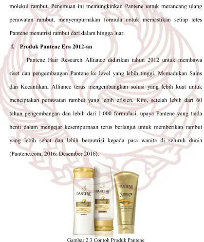Gambar 2.3 Contoh Produk Pantene 
