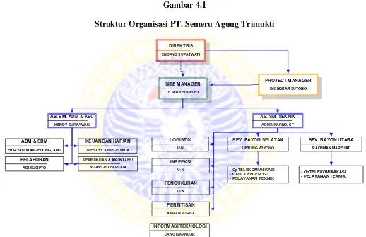Gambar 4.1 Struktur Organisasi PT. Semeru Agung Trimukti 