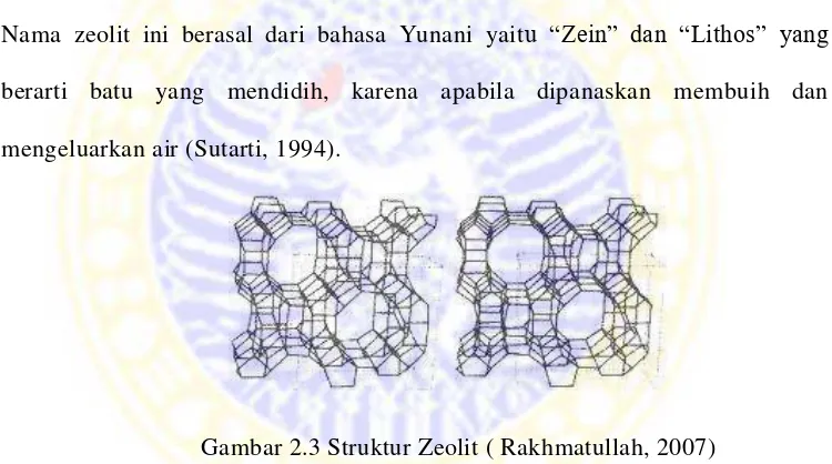 Gambar 2.2 Struktur Senyawa Kompleks [Fe(EDTA)]- 