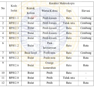 Tabel 4.1 Karakter makroskopis dua belas isolat bakteri proteolitik dari limbah rumah pemotongan hewan Pacar Keling Surabaya  