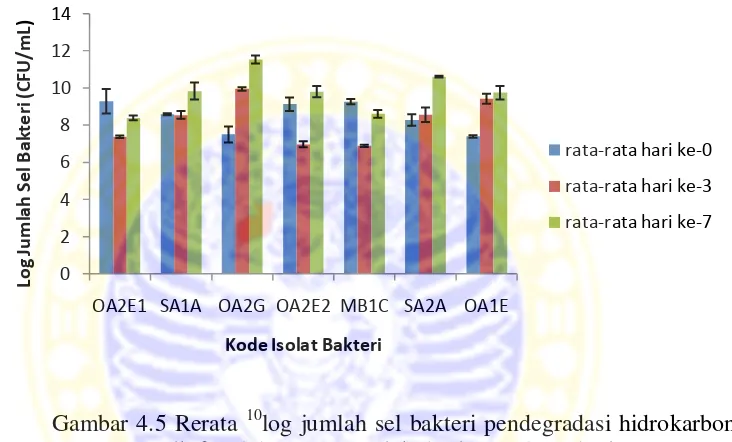 Tabel 4.6 Hasil perhitungan 10log jumlah sel bakteri pendegradasi 