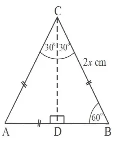 Segitiga ABC di atas adalah segitiga sama sisi dengan AB = BC = AC = 2Gambar 2.5 x cm 
