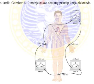 Gambar 2.10 Prinsip Kerja Elektroda (Guyton, 2006) 