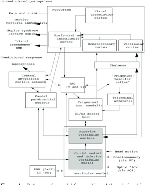 Figure 1. Pathogenetic model for uveitis and the relationship 