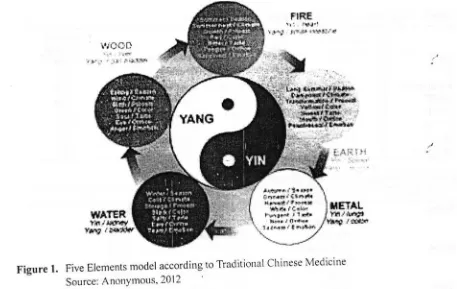 Figure 1. Five Elements model according to Traditional Chinese Medicine