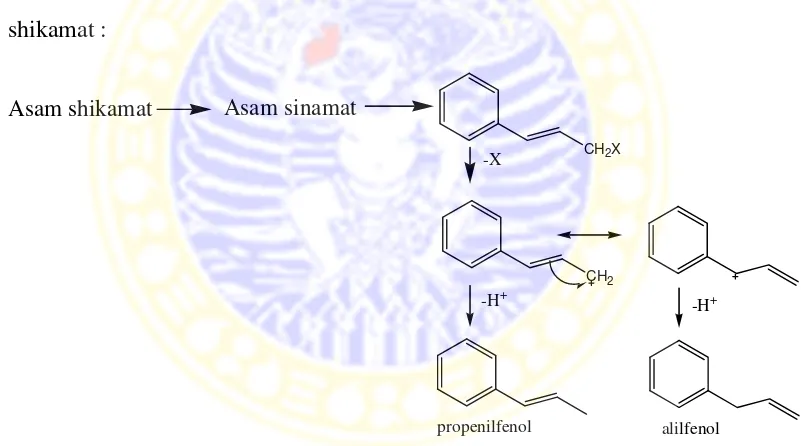 Gambar 2.7 Biosintesis propenilfenol dari jalur shikimat
